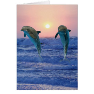 Bottlenose Dolphin at sunrise
