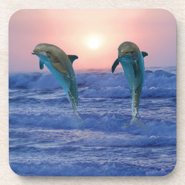 Bottlenose Dolphin at Sunrise Coaster (Front)