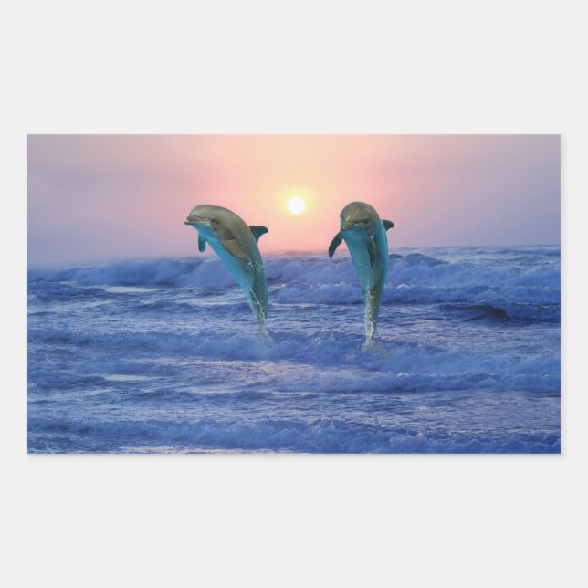 Bottlenose Dolphin at Sunrise Rectangular Sticker (Front)