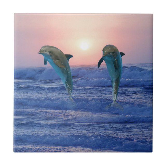 Bottlenose Dolphin at Sunrise Tile (Front)
