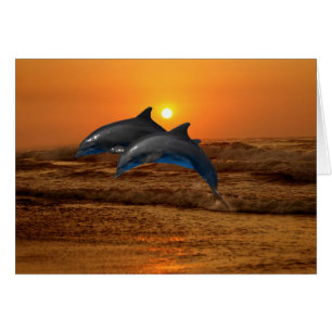 Bottlenose Dolphin at Sunset