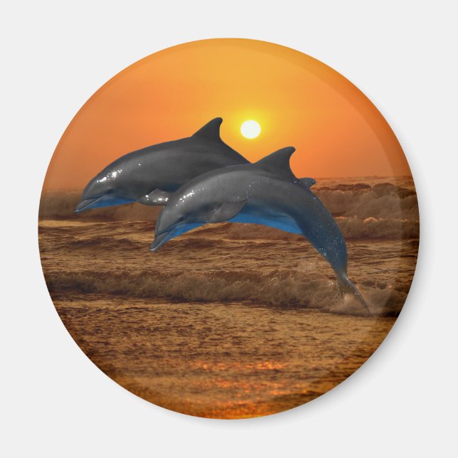Bottlenose Dolphin at Sunset Magnet (Front)