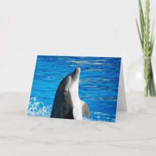Bottlenose Dolphin Card