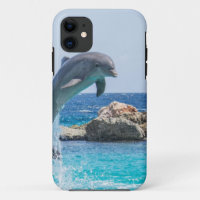 Bottlenose Dolphin