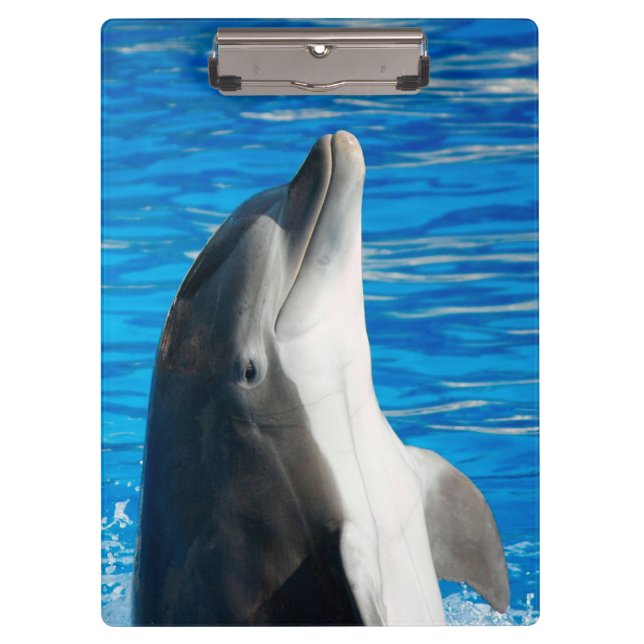 Bottlenose Dolphin Clipboard (Front)