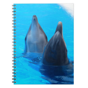 bottlenose dolphin fish marine ocean under water notebook