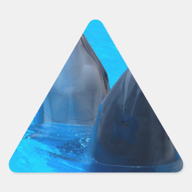 bottlenose dolphin fish marine ocean under water triangle sticker (Front)
