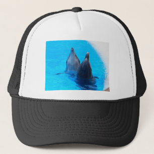 bottlenose dolphin fish marine ocean under water trucker hat