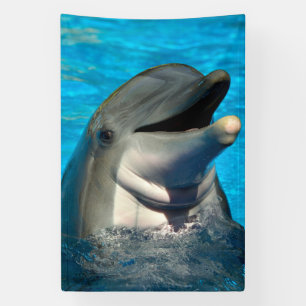 Bottlenose dolphin head Banner