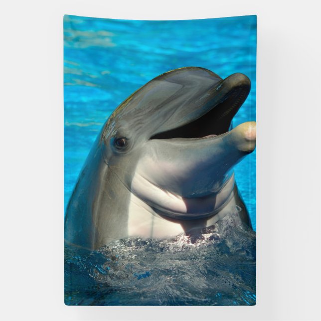Bottlenose dolphin head Banner (Vertical)