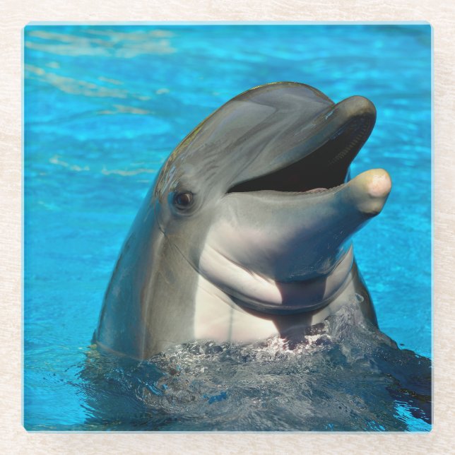 Bottlenose dolphin head glass coaster (Front)