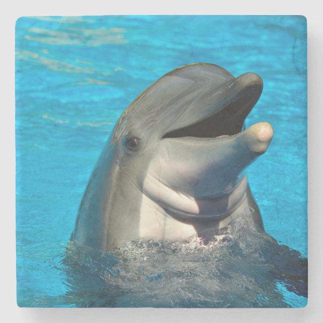 Bottlenose dolphin head stone coaster (Front)