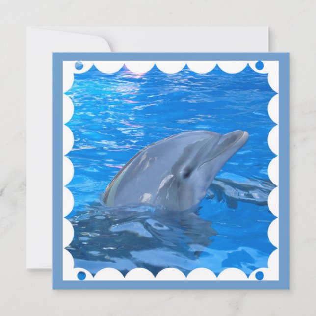 Bottlenose Dolphin Invitation (Front)