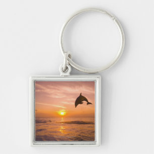 Bottlenose Dolphin jumping 2 Key Ring