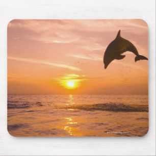 Bottlenose Dolphin jumping 2 Mouse Pad