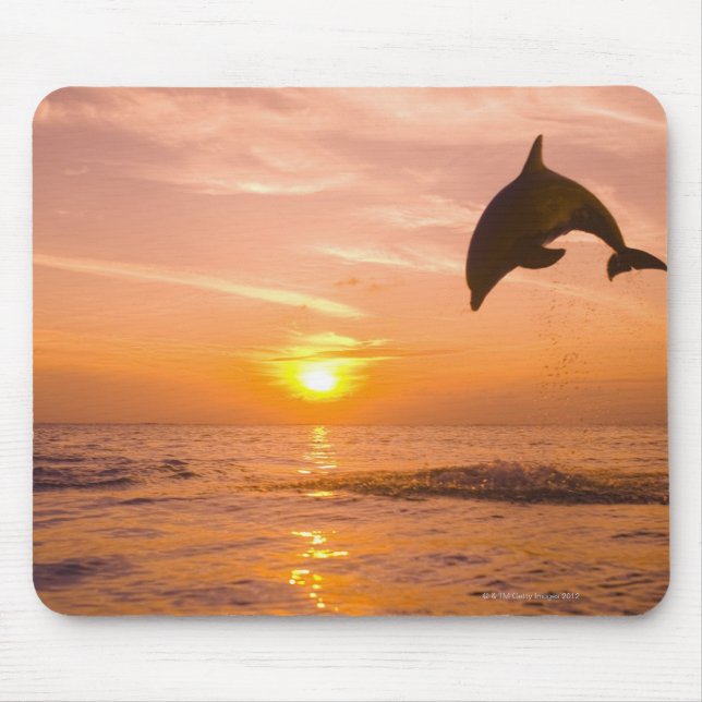 Bottlenose Dolphin jumping 2 Mouse Pad (Front)