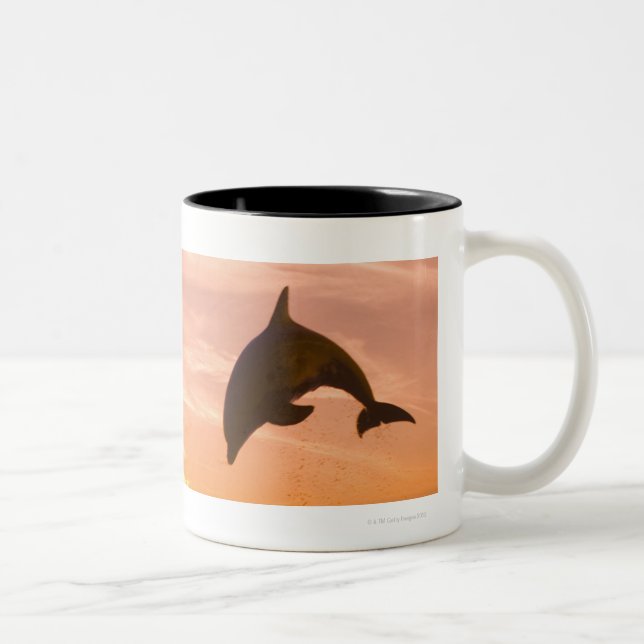 Bottlenose Dolphin jumping 2 Two-Tone Coffee Mug (Right)