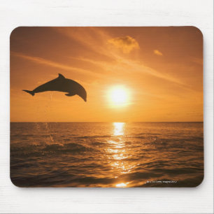 Bottlenose Dolphin jumping Mouse Pad