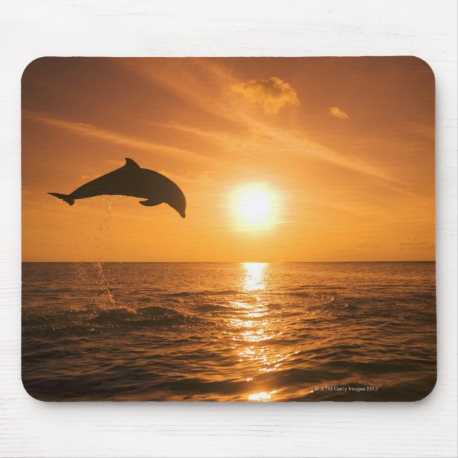 Bottlenose Dolphin jumping Mouse Pad (Front)