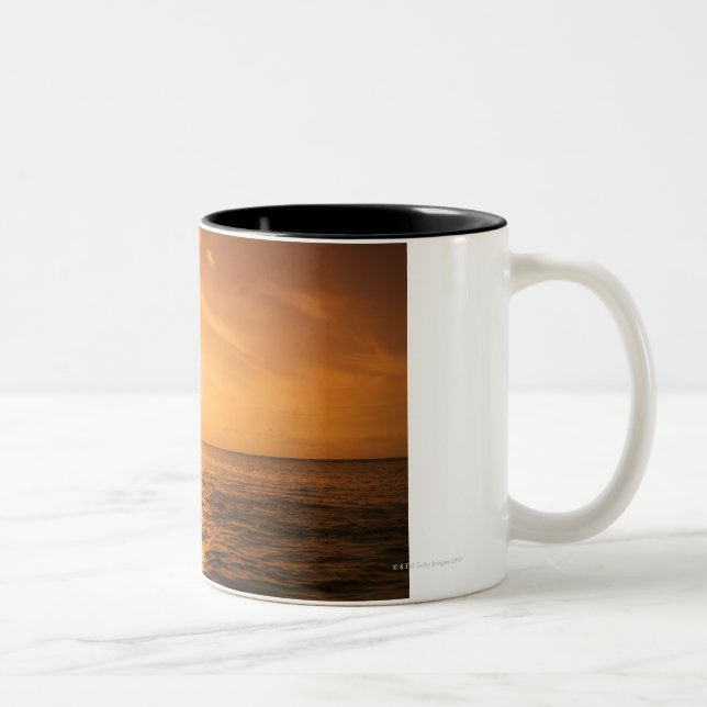 Bottlenose Dolphin jumping Two-Tone Coffee Mug (Right)