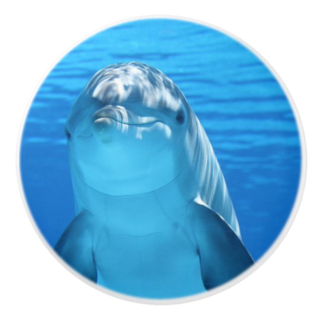 Bottlenose Dolphin looks at the camera under water Ceramic Knob (Front)