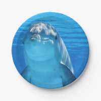 Bottlenose Dolphin looks at the camera under water