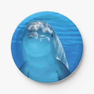 Bottlenose Dolphin looks at the camera under water Paper Plate