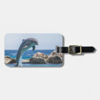 Bottlenose Dolphin