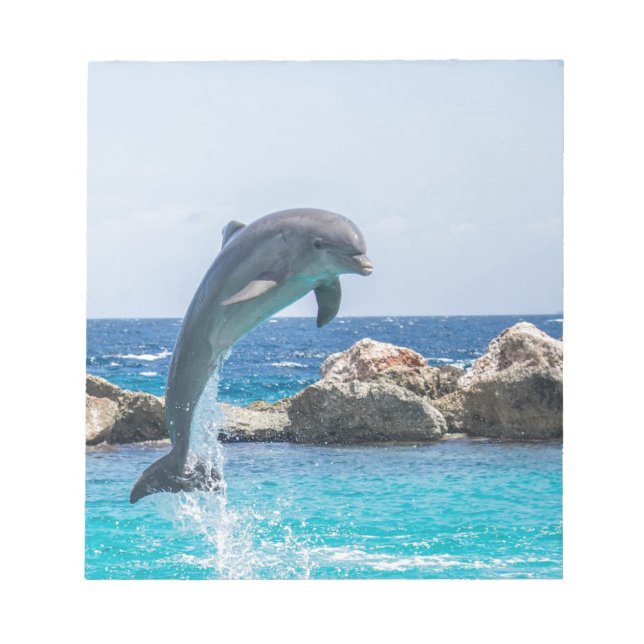 Bottlenose Dolphin Notepad (Front)