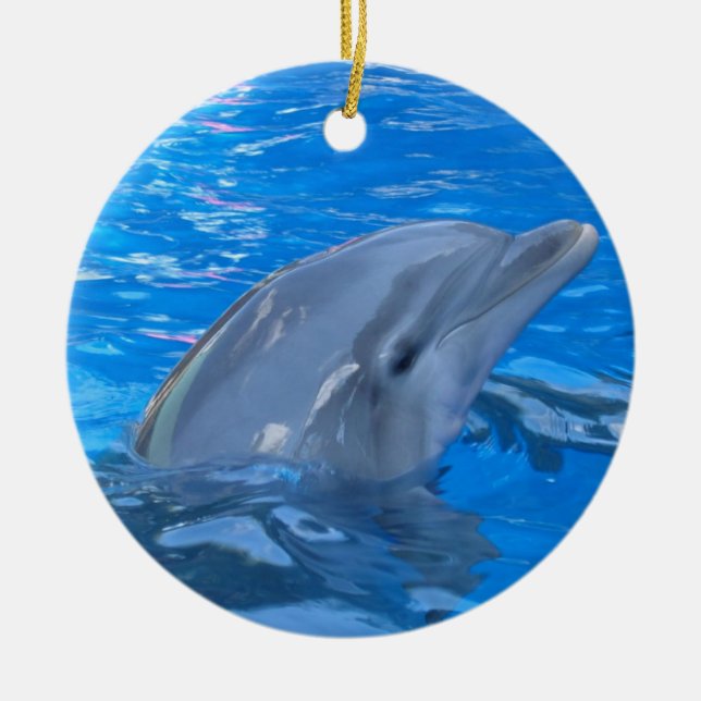 Bottlenose Dolphin Ornament (Front)