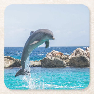 Bottlenose Dolphin Paper Coaster