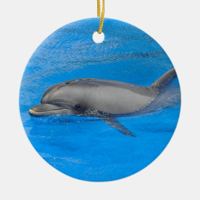 Bottlenose dolphin swimming ceramic tree decoration (Front)