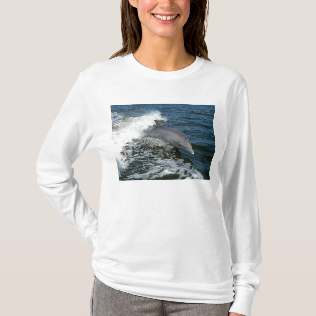 Bottlenose Dolphin T-Shirt (Front)