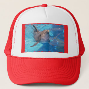 Bottlenose dolphin trucker hat