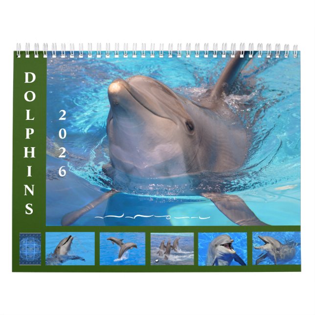 Bottlenose dolphins 12 month calendar (Cover)