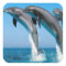 bottlenose dolphins jumping out of clear blue sea