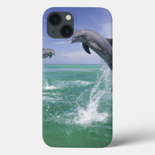 Bottlenose Dolphins Tursiops truncatus iPhone 13 Case