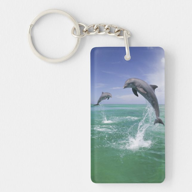 Bottlenose Dolphins Tursiops truncatus Key Ring (Front)