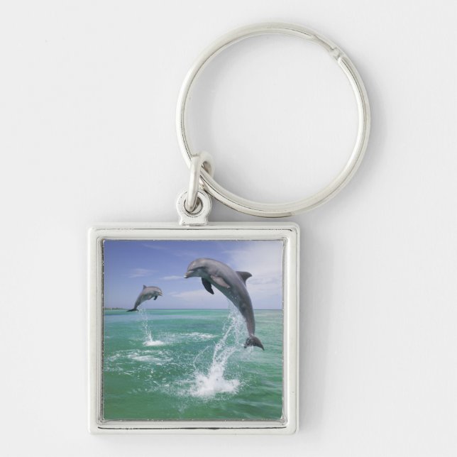 Bottlenose Dolphins Tursiops truncatus Key Ring (Front)