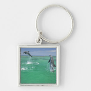 Bottlenose Dolphins Tursiops truncatus Key Ring
