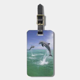 Bottlenose Dolphins Tursiops truncatus Luggage Tag