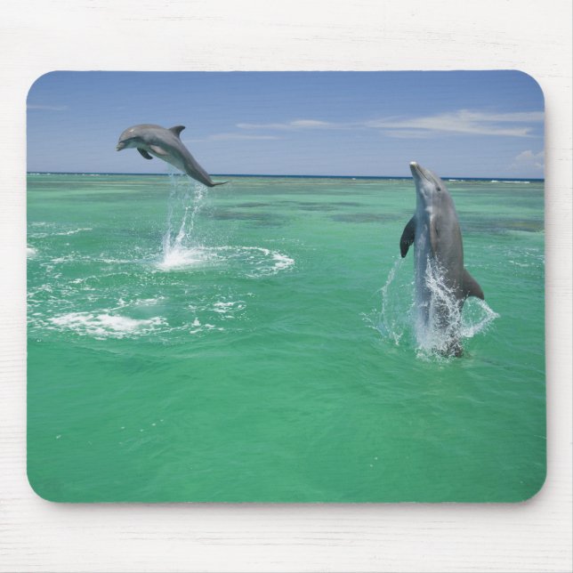 Bottlenose Dolphins Tursiops truncatus Mouse Pad (Front)