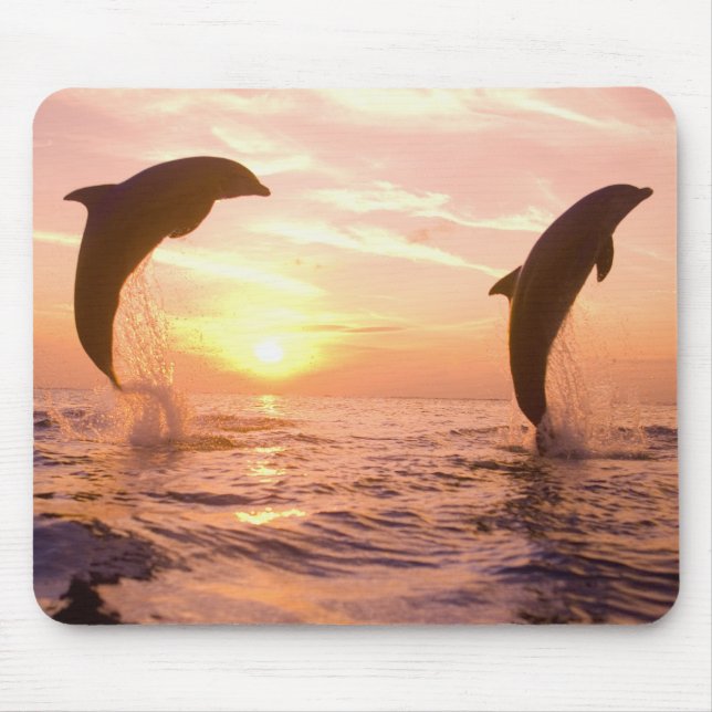 Bottlenose Dolphins Tursiops truncatus Mouse Pad (Front)