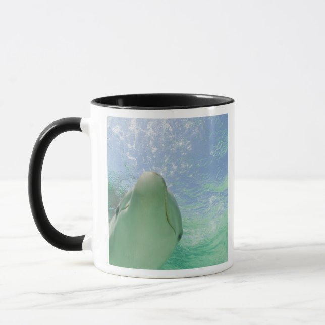 Bottlenose Dolphins Tursiops truncatus) Mug (Left)