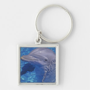 Bottlenosed Dolphin, Tursiops Truncatus Key Ring