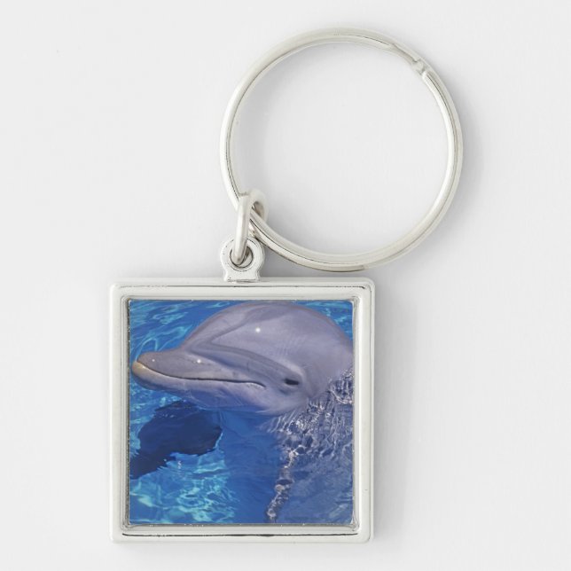 Bottlenosed Dolphin, Tursiops Truncatus Key Ring (Front)
