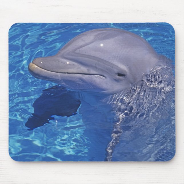 Bottlenosed Dolphin, Tursiops Truncatus Mouse Pad (Front)