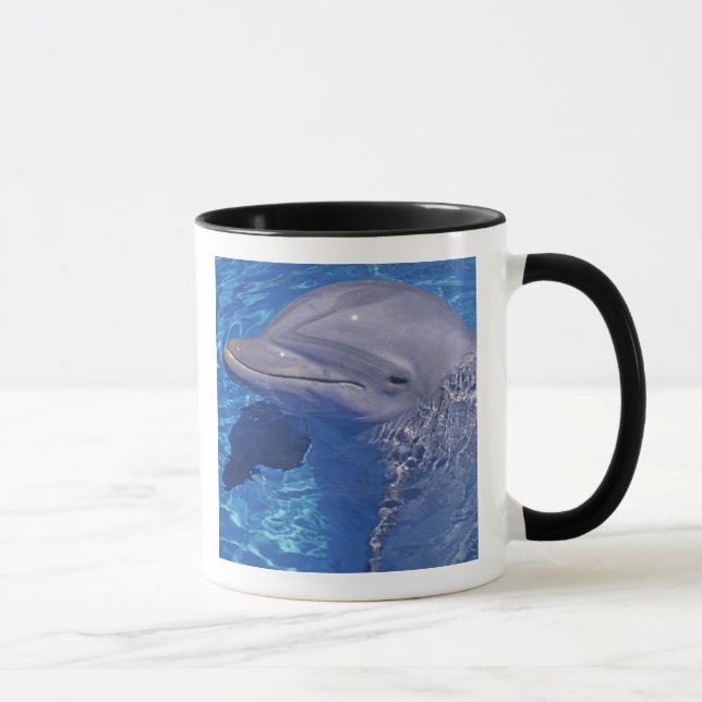 Bottlenosed Dolphin, Tursiops Truncatus Mug (Right)