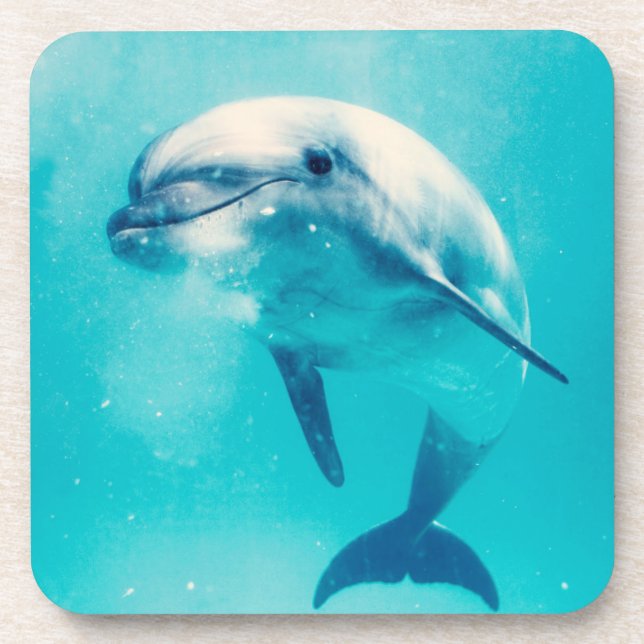 Bottlenosed Dolphin Underwater Coaster (Front)