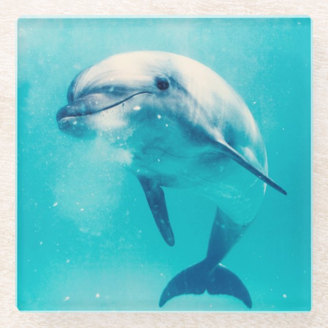 Bottlenosed Dolphin Underwater Glass Coaster (Front)